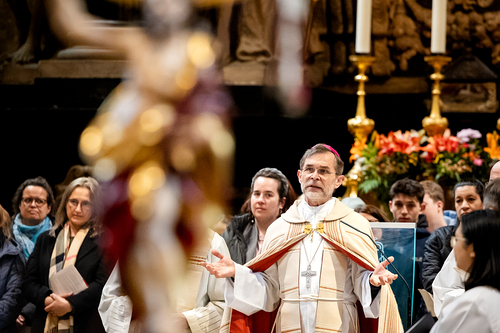 Erzdiözese Wien/Schönlaub