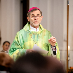 Erzdiözese Wien/Schönlaub